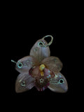 Brown Orchid with Hardware
