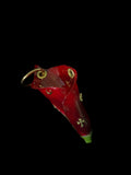 Red Calla Lily with Gold Hardware