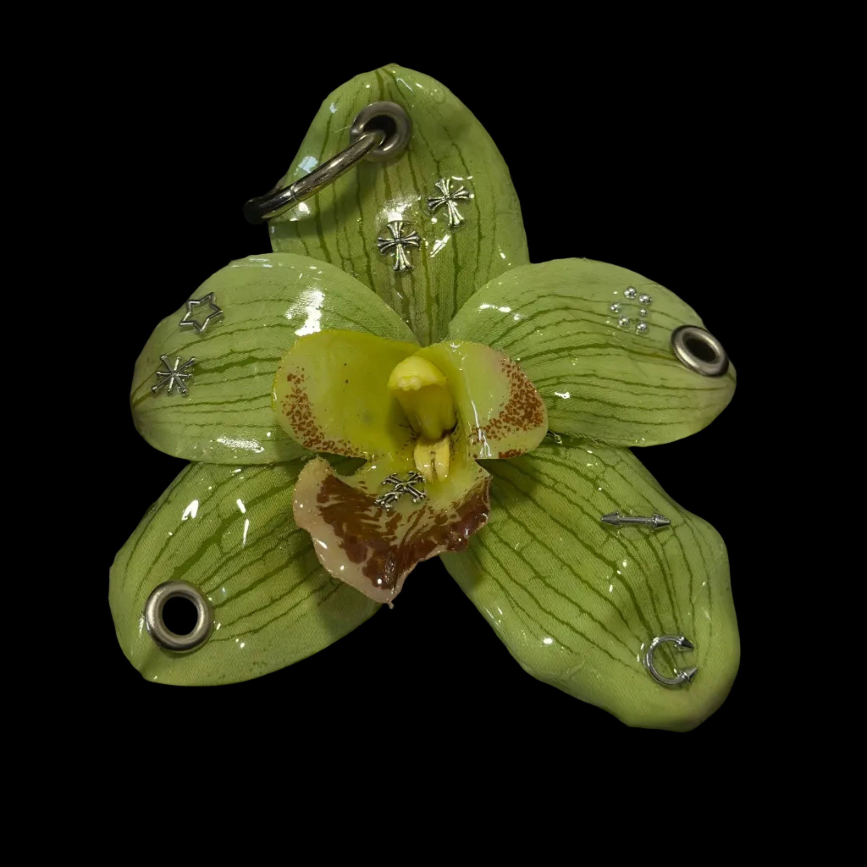 Green Pierced Orchid
