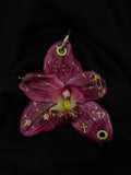 Dark Pink Orchid Pierced