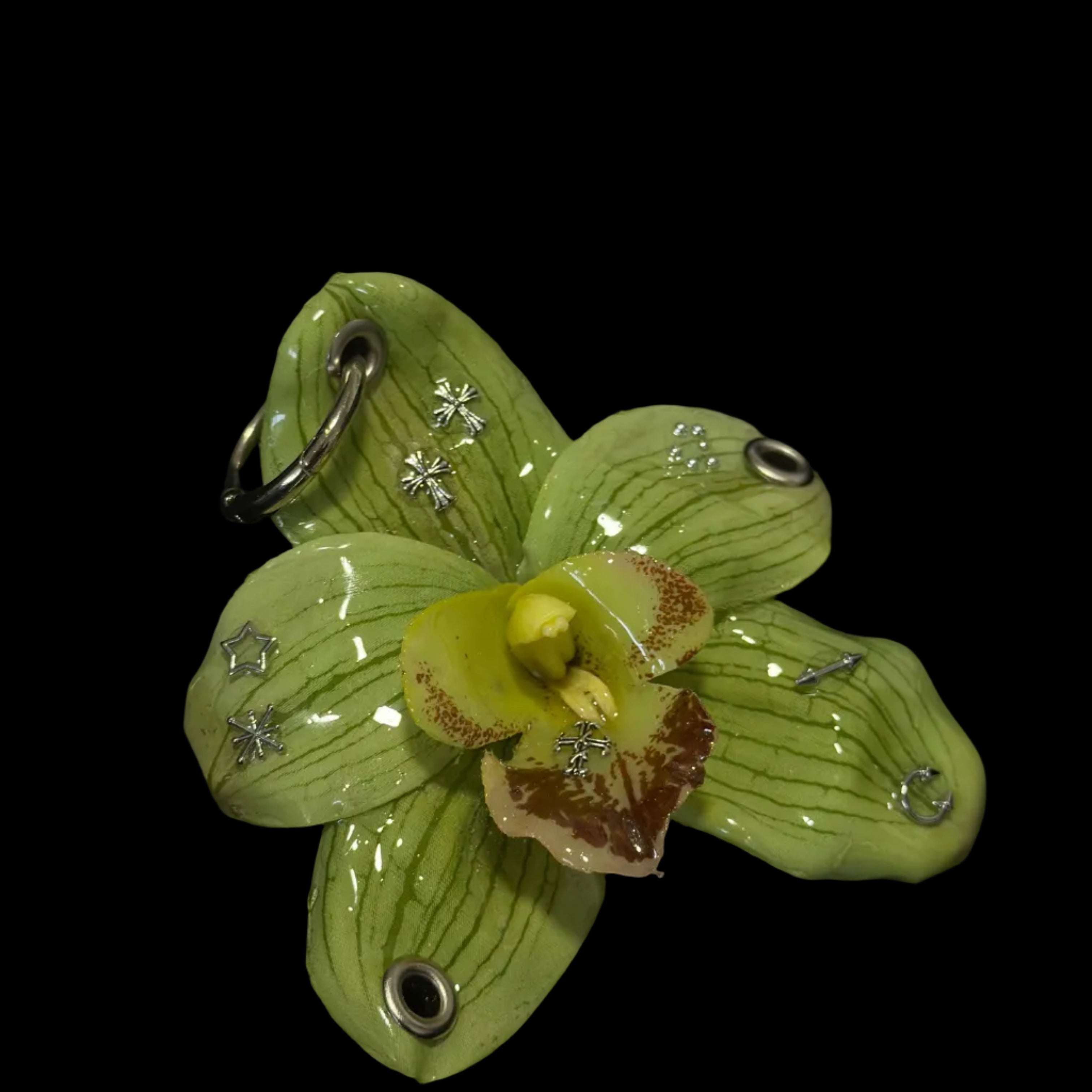 Green Pierced Orchid
