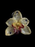 Yellow Orchid With Hardware