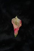 Calla Lily with Gold Hardware