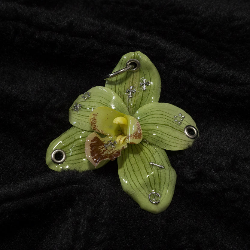 Green Pierced Orchid