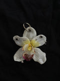White Pierced Orchid with Silver Hardware